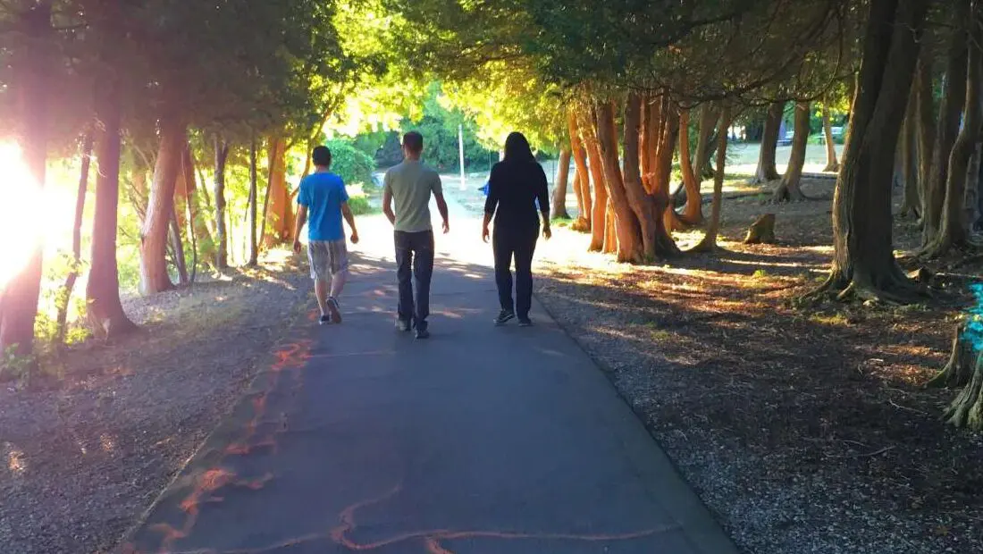 Three people walking down a tree lined street.